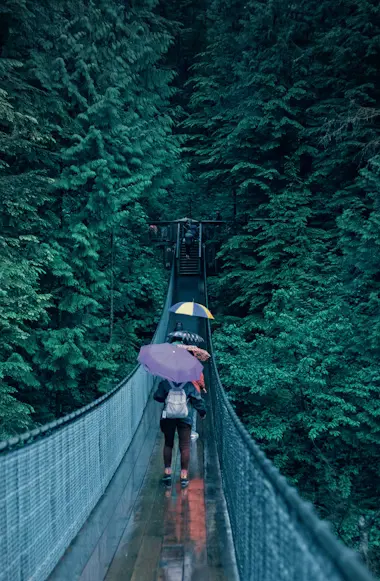 Capilano Suspension Bridge Park