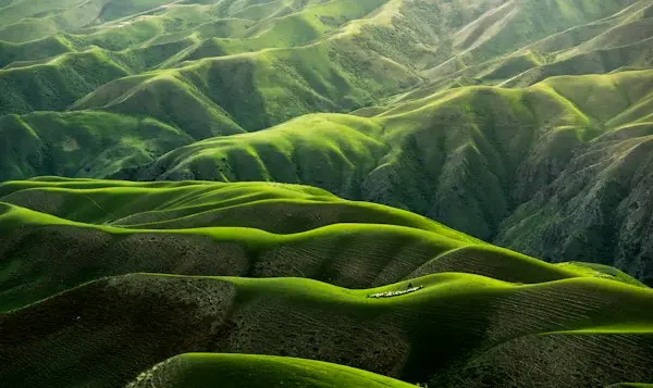 Nature Lovers