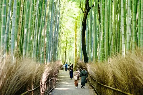 Day 08 – Kyoto Cultural Highlights