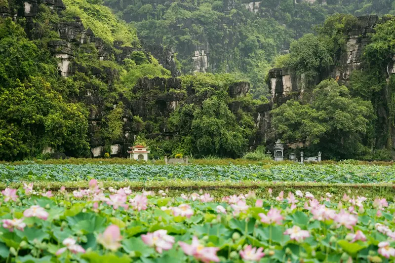 Ninh Binh Landscapes