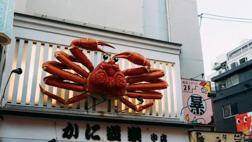 Osaka Street Food & Nightlife