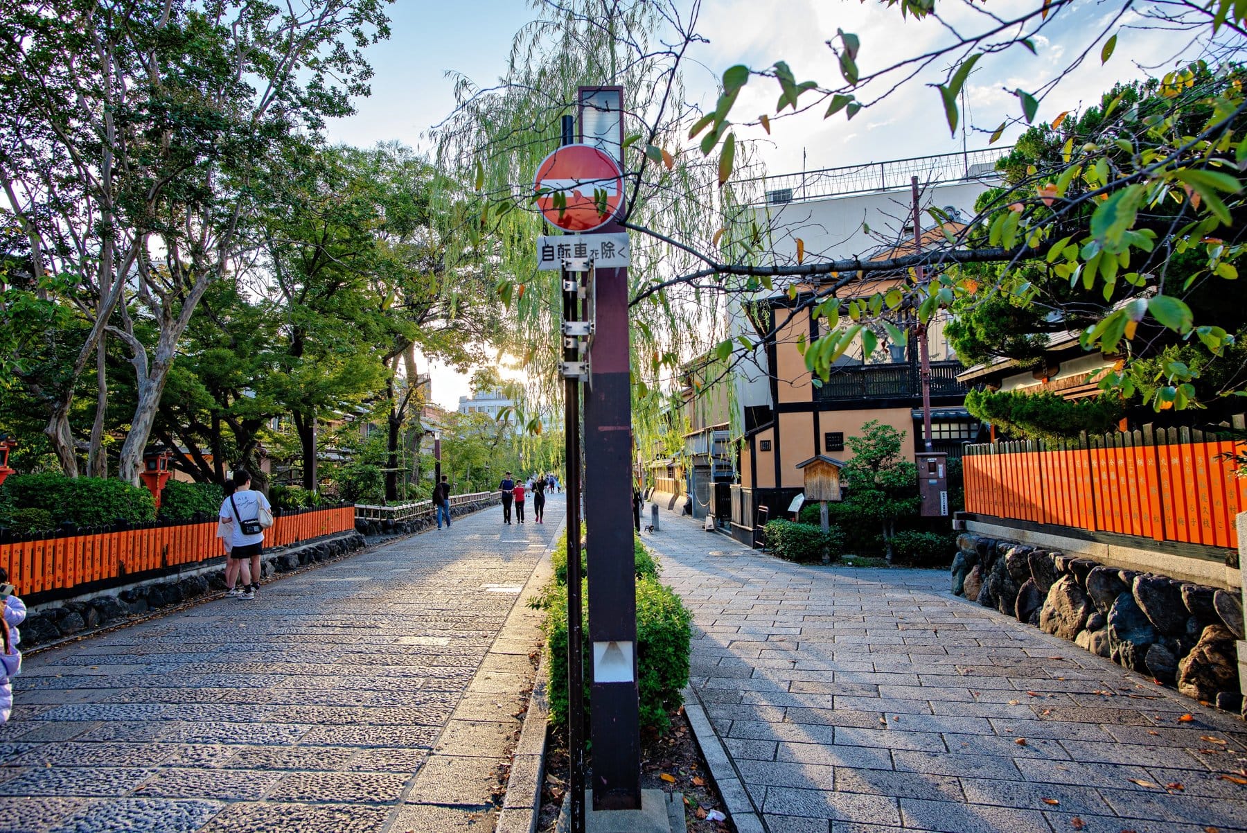 A quiet tree-lined street in Kyoto's Gion district in the evening light