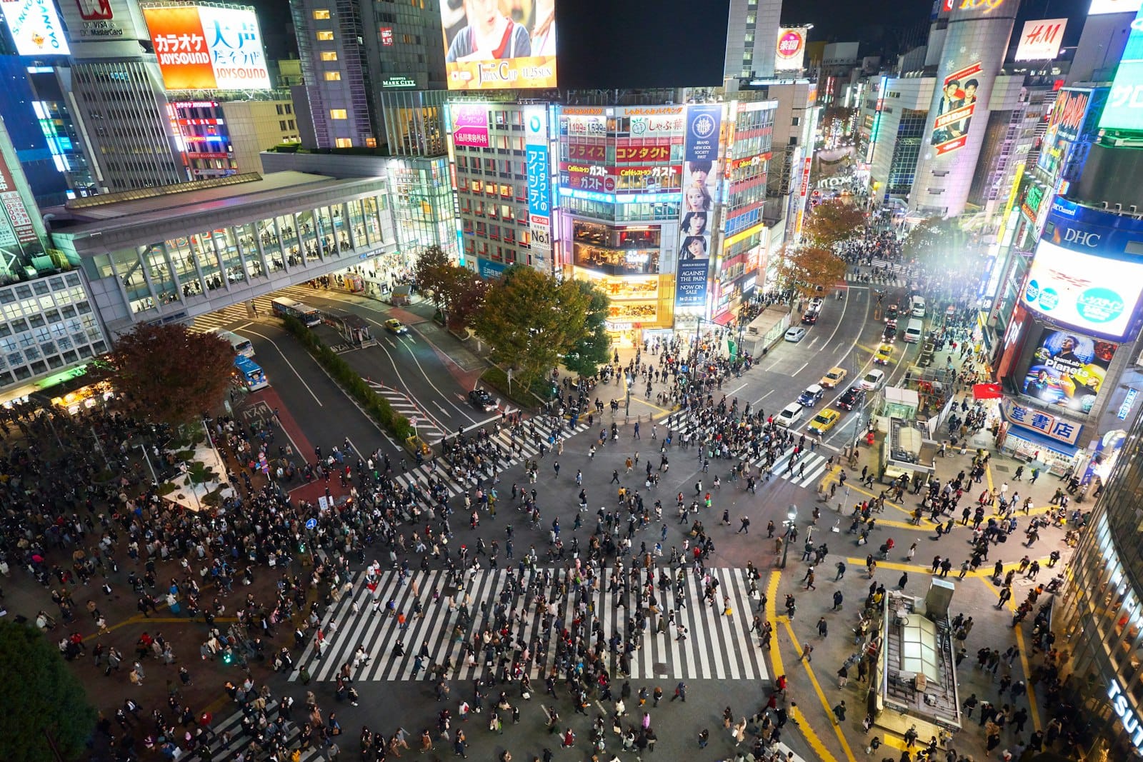 Crowds crossing the Shibuya scramble intersection at night