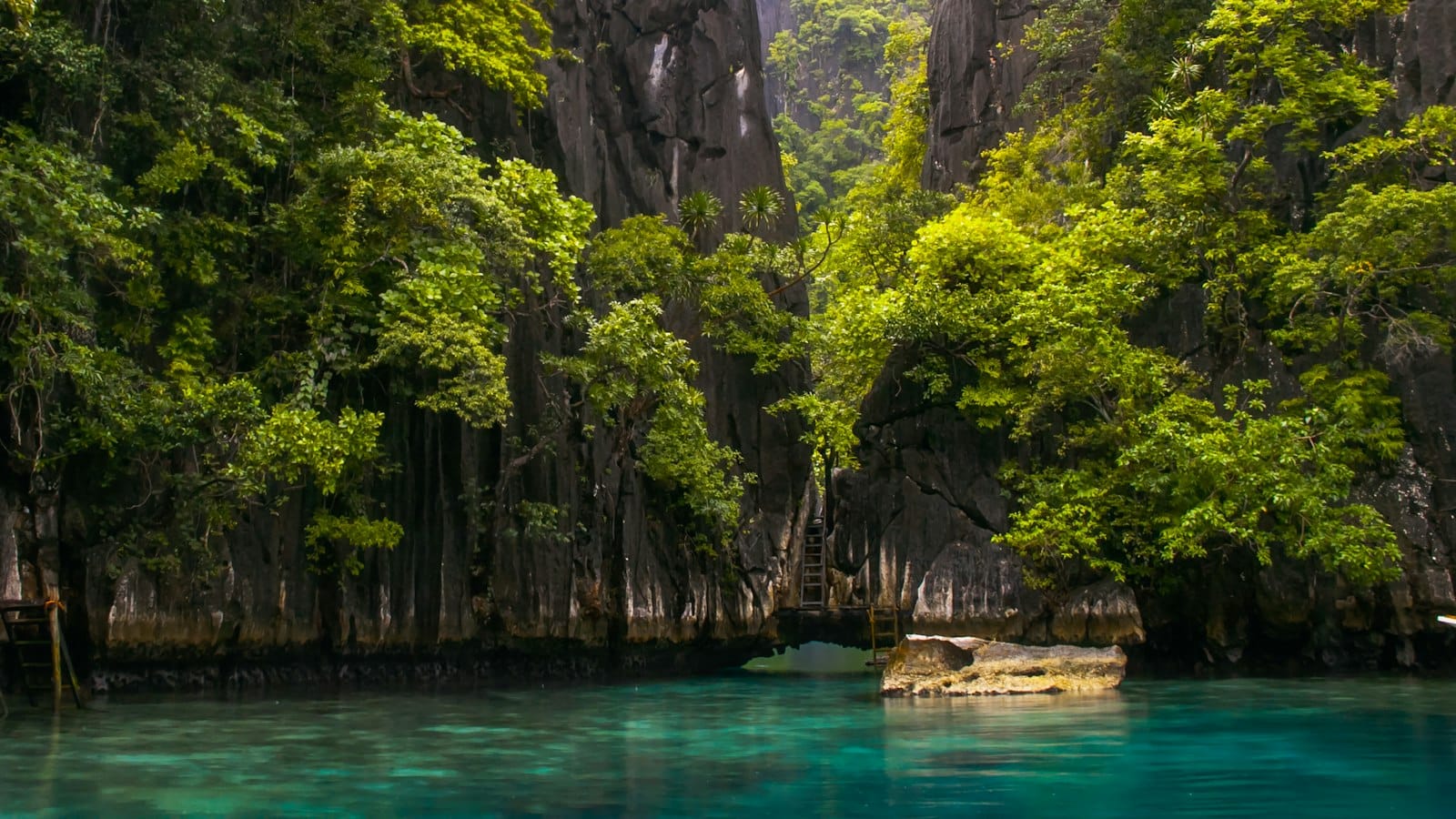 Limestone cliffs and green forest framing a turquoise lagoon in Palawan